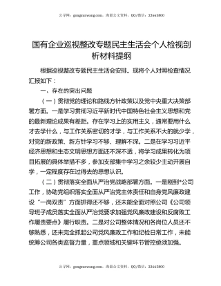 国有企业巡视整改专题民主生活会个人检视剖析材料提纲