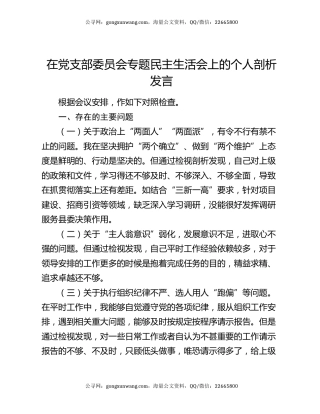 在党支部委员会专题民主生活会上的个人剖析发言