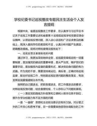 学校纪委书记巡视整改专题民主生活会个人发言提纲