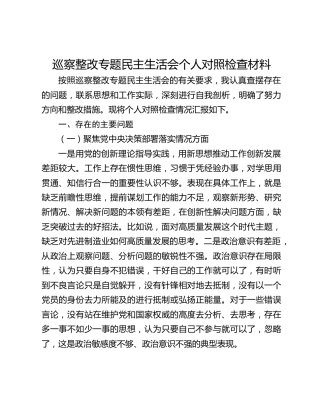 巡察整改专题民主生活会个人对照检查材料