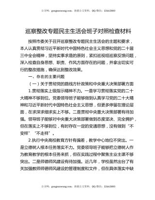 巡察整改专题民主生活会班子对照检查材料