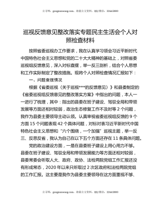 巡视反馈意见整改落实专题民主生活会个人对照检查材料