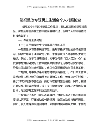 巡视整改专题民主生活会个人对照检查