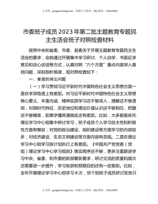 市委班子成员2023年第二批主题教育专题民主生活会班子对照检查材料