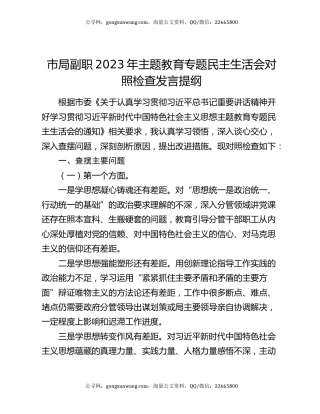 市局副职2023年主题教育专题民主生活会对照检查发言提纲