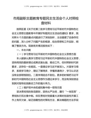 市局副职主题教育专题民主生活会个人对照检查材料