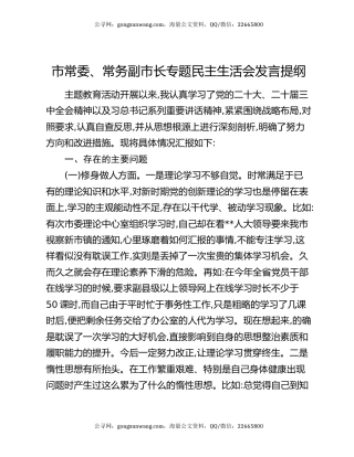市常委、常务副市长专题民主生活会发言提纲