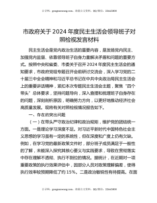 市政府关于2024年度民主生活会领导班子对照检视发言材料