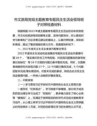 市文旅局党组主题教育专题民主生活会领导班子对照检查材料
