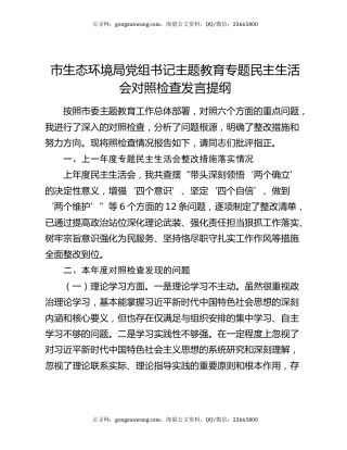市生态环境局党组书记主题教育专题民主生活会对照检查发言提纲