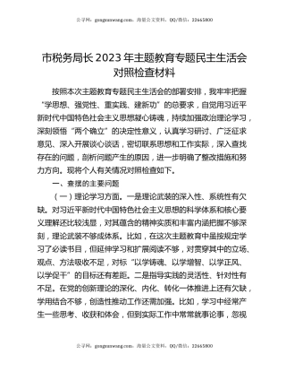 市税务局长2023年主题教育专题民主生活会对照检查材料