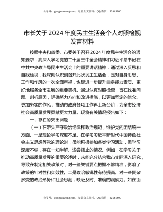 市长关于2024年度民主生活会个人对照检视发言材料
