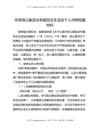 市领导以案促治专题民主生活会个人对照检查材料