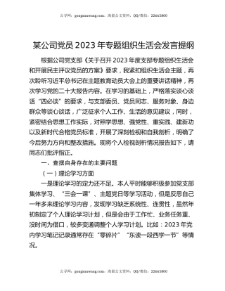 某公司党员2023年专题组织生活会发言提纲