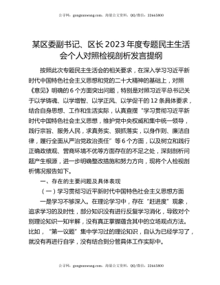 某区委副书记、区长2023年度专题民主生活会个人对照检视剖析发言提纲