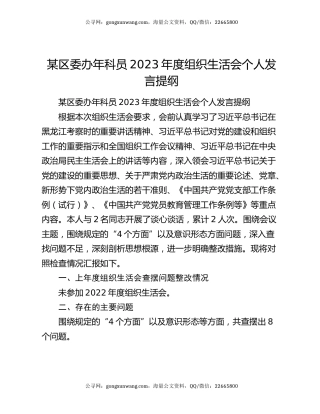 某区委办年科员2023年度组织生活会个人发言提纲