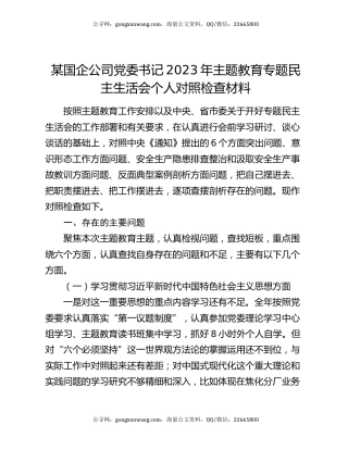 某国企公司党委书记2023年主题教育专题民主生活会个人对照检查材料