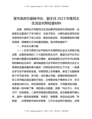 某市政府办副秘书长、副主任2023年度民主生活会对照检查材料