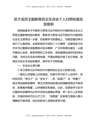 班子成员主题教育民主生活会个人对照检查发言提纲