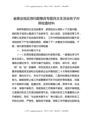 省委巡视反馈问题整改专题民主生活会班子对照检查材料