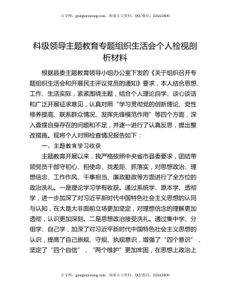 科级领导主题教育专题组织生活会个人检视剖析材料