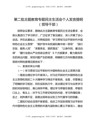 第二批主题教育专题民主生活会个人发言提纲（领导干部）