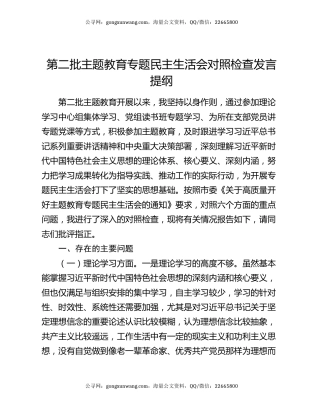 第二批主题教育专题民主生活会对照检查发言提纲