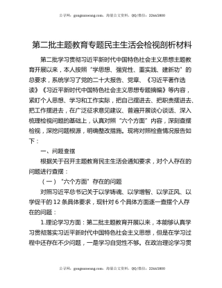 第二批主题教育专题民主生活会检视剖析材料