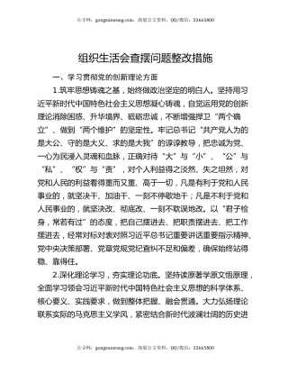 组织生活会查摆问题整改措施