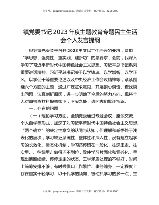 镇党委书记2023年度主题教育专题民主生活会个人发言提纲