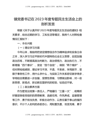 镇党委书记在2023年度专题民主生活会上的剖析发言