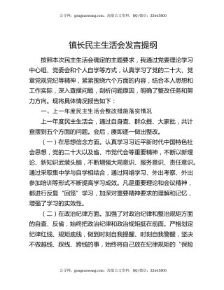 镇长民主生活会发言提纲