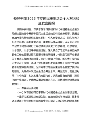 领导干部2023年专题民主生活会个人对照检查发言提纲