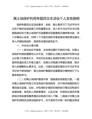 黑土地保护利用专题民主生活会个人发言提纲