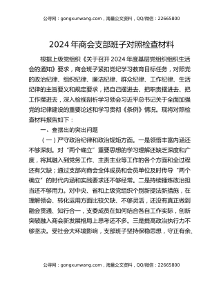 2024年商会支部班子对照检查材料