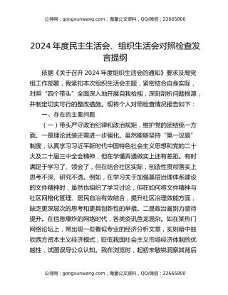 2024年度民主生活会、组织生活会对照检查发言提纲