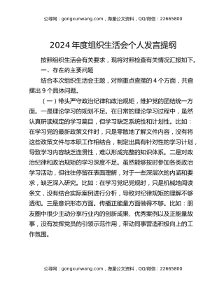 2024年度组织生活会个人发言提纲