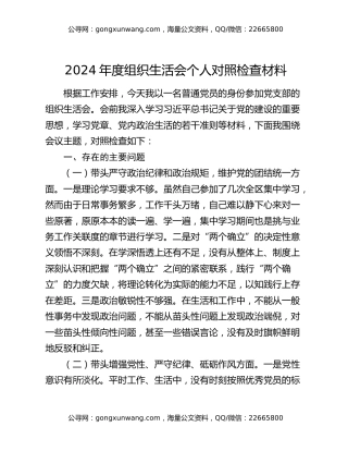 2024年度组织生活会个人对照检查材料（2）