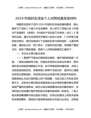 2024年组织生活会个人对照检查发言材料