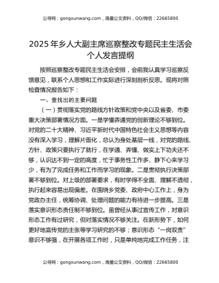 2025年乡人大副主席巡察整改专题民主生活会个人发言提纲