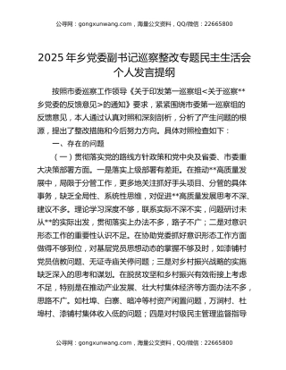 2025年乡党委副书记巡察整改专题民主生活会个人发言提纲