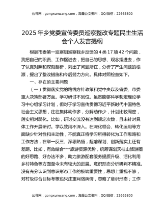2025年乡党委宣传委员巡察整改专题民主生活会个人发言提纲
