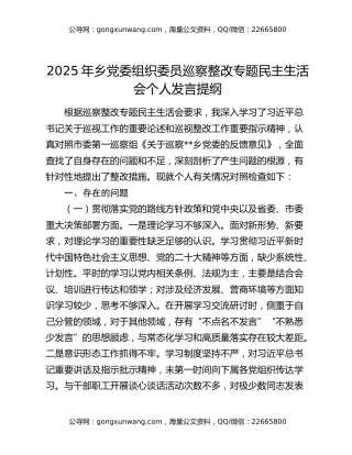 2025年乡党委组织委员巡察整改专题民主生活会个人发言提纲