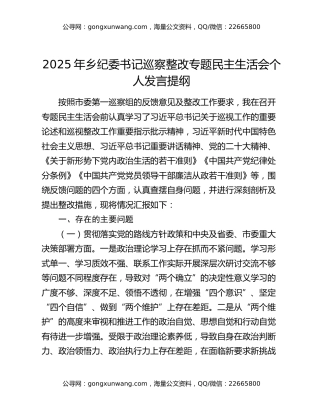 2025年乡纪委书记巡察整改专题民主生活会个人发言提纲