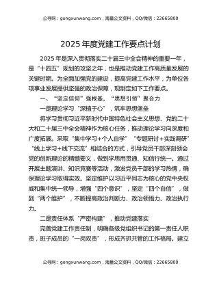 2025年度党建工作要点计划