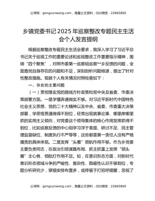 乡镇党委书记2025年巡察整改专题民主生活会个人发言提纲