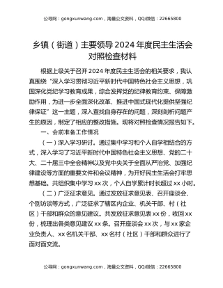 乡镇（街道）主要领导2024年度民主生活会对照检查材料