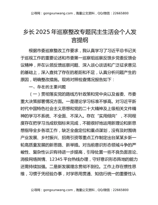 乡长2025年巡察整改专题民主生活会个人发言提纲