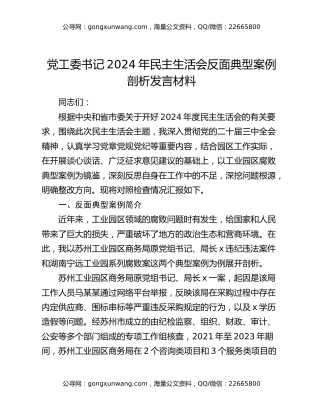 党工委书记2024年民主生活会反面典型案例剖析发言材料