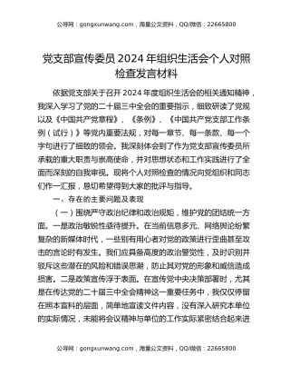 党支部宣传委员2024年组织生活会个人对照检查发言材料